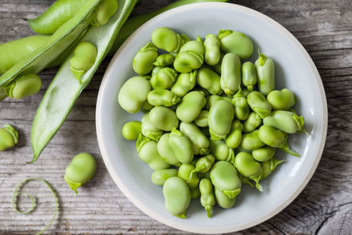 Picture of GREEN BROADS BEANS 