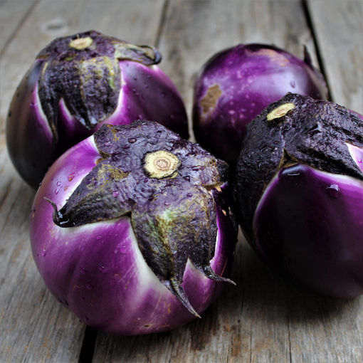 Picture of VIOLET EGGPLANT 