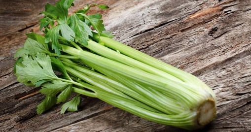 Picture of CELERY 
