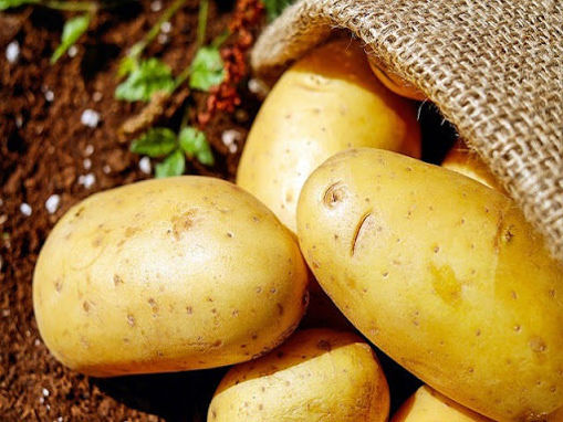 Picture of POTATOES SILA I.G.P.