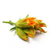 Picture of  ZUCCHINI FLOWERS IN TRAY