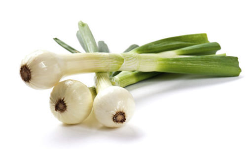 Picture of FRESH WHITE ONIONS