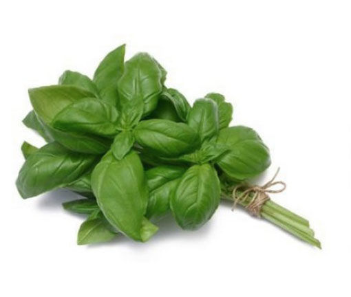 Picture of FRESH BASIL IN BUNCHES OF 60 GR