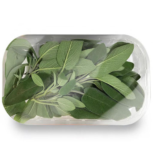 Picture of SAGE IN TRAY