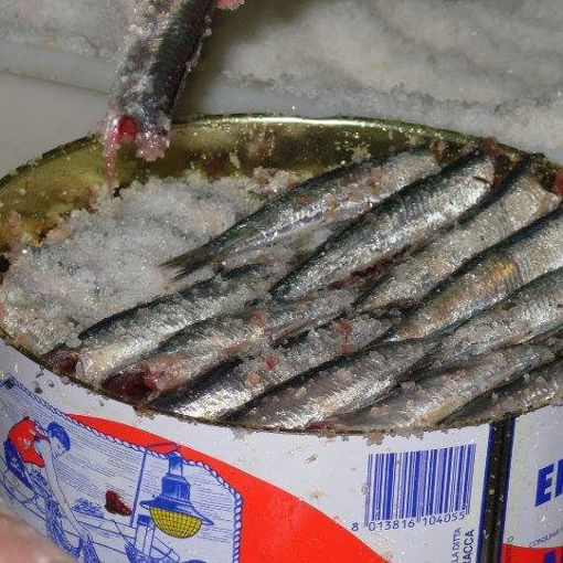 Picture of  SALTED ANCHOVIES KG. 5 TYPE 5