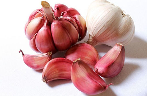Picture of  RED GARLIC OF NUBIA SLOW FOOD