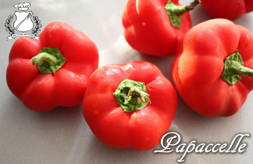 Picture of PEPACCHIOLE CAMPANIA PEPPERS