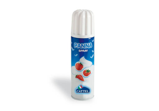 Immagine di PANNA SPRAY UHT ML.250