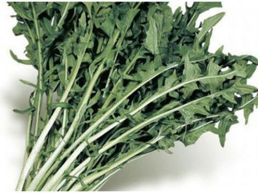 Immagine di NICA CICORIA BOX GR.500 ( 15-25 CM )