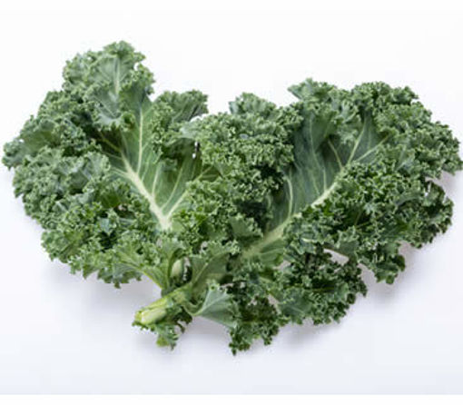 Immagine di CAVOLO RICCIO