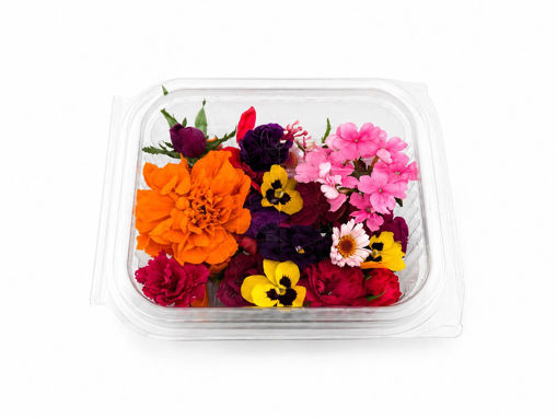 Immagine di FIORI EDULI IN VASCHETTA